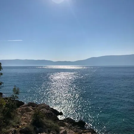 Korina * Pinezići