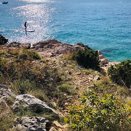 Korina